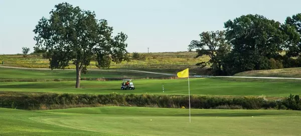 Gunter, TX 75058,2036 Fox Bend Trace