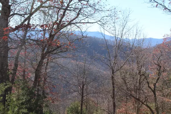 Hayesville, NC 28904,Lot 139 Shiloh Ridge