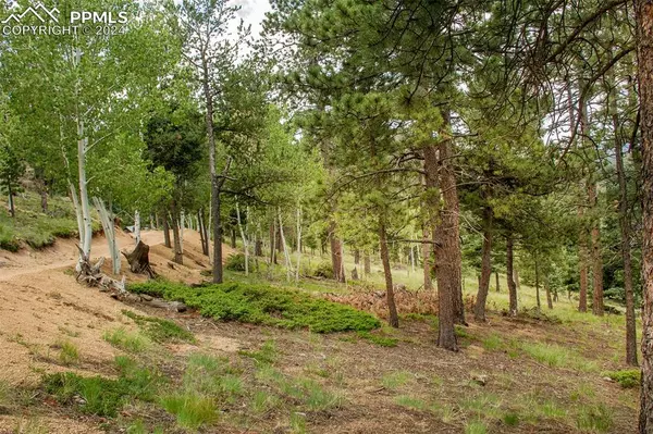 Manitou Springs, CO 80829,266 Aspen Ridge RD