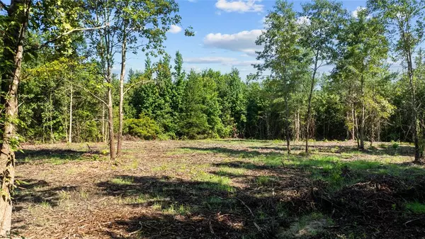 Gilmer, TX 75644,9443 Mistletoe Road #Lot 9