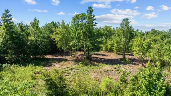 Gilmer, TX 75644,9443 Mistletoe Road #Lot 9