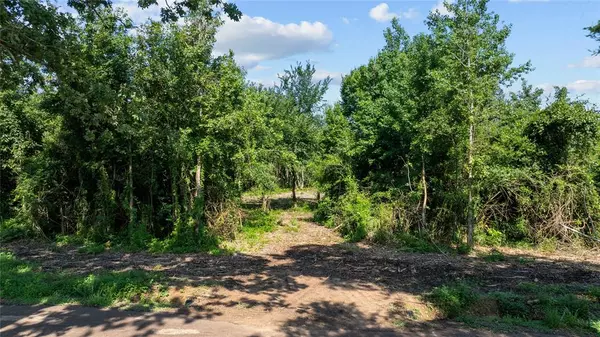 Gilmer, TX 75644,9443 Mistletoe Road #Lot 10 & 11