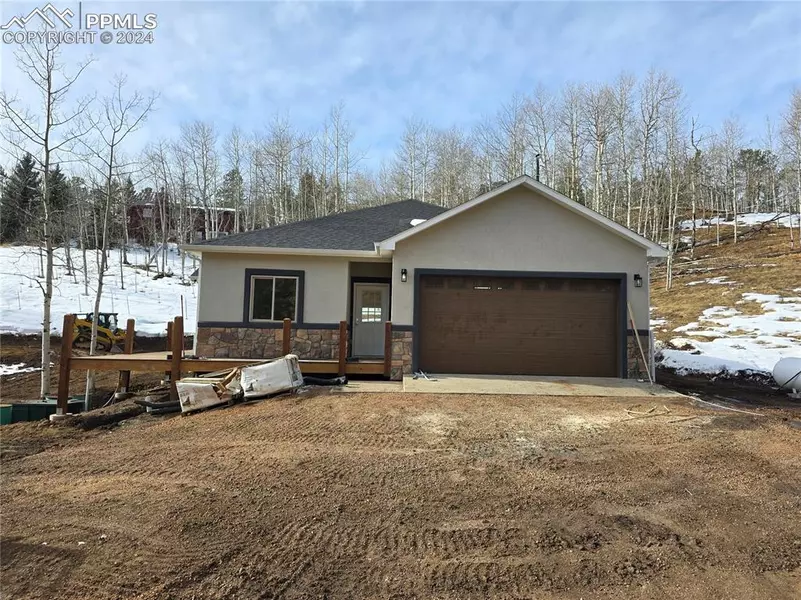 77 Granite LN, Cripple Creek, CO 80813