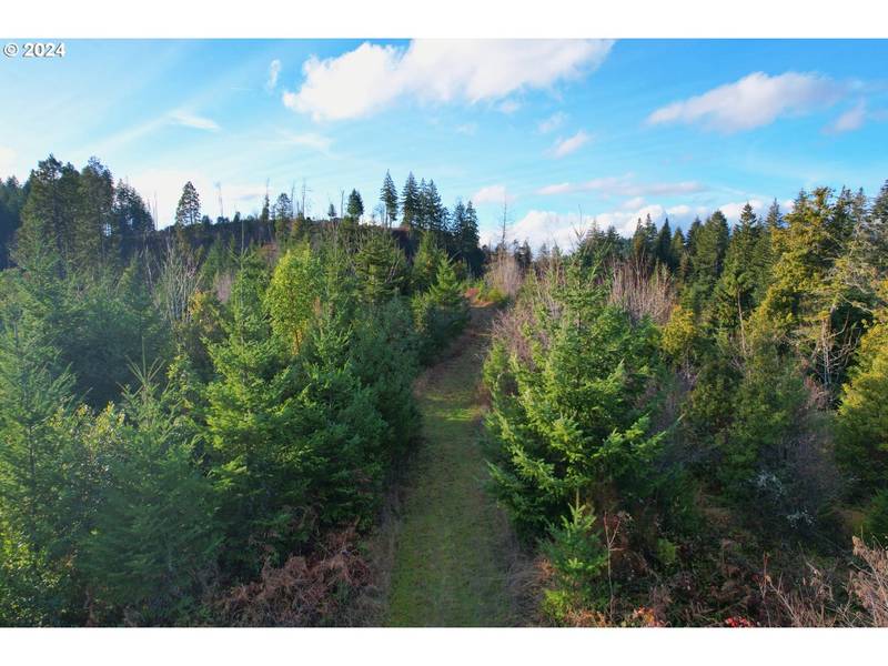 0 Cedar Flat RD, Springfield, OR 97478