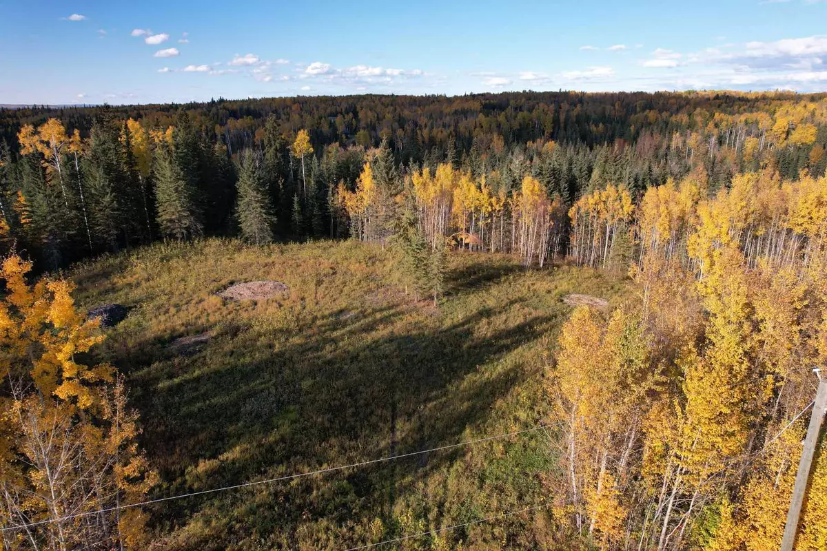 Rural Woodlands County, AB T7S 0A1,Lot 5 114046 Township 590