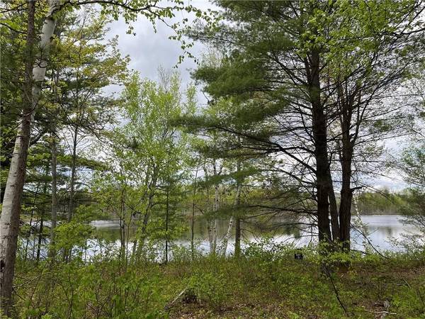 LOT 8 CASSON TRL, Madawaska Valley, ON K0J 1B0