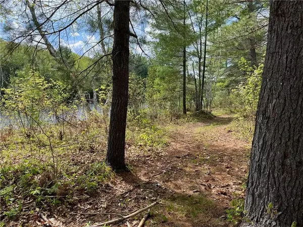 Madawaska Valley, ON K0J 1B0,Lot 40 SANDY SHORES TRL