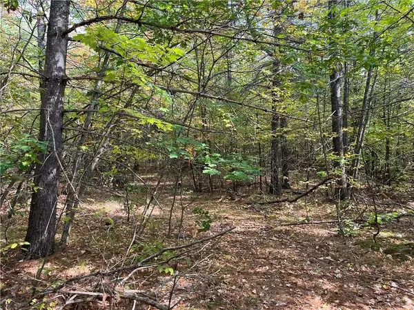 Bonnechere Valley, ON K0J 1T0,0 CONSTANT LAKE RD