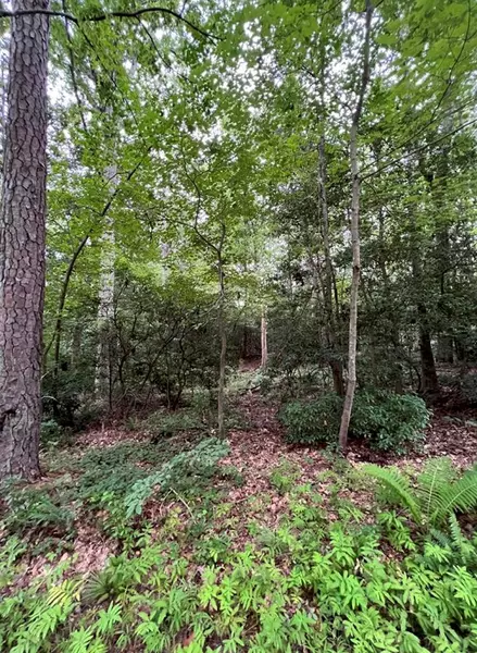 1.048 AC Lonesome Pines TRL, Lancaster, VA 22507