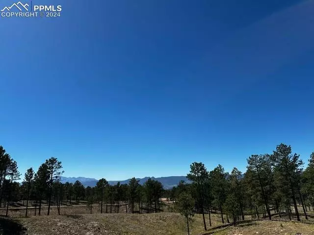 Colorado Springs, CO 80908,14970 Allen Ranch RD