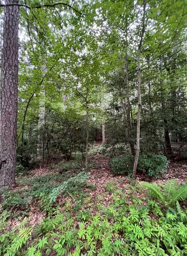 Lancaster, VA 22507,1.048 AC Lonesome Pines TRL