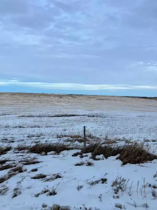 Rural Rocky View County, AB T4B 4Z1,272166 Panorama RD