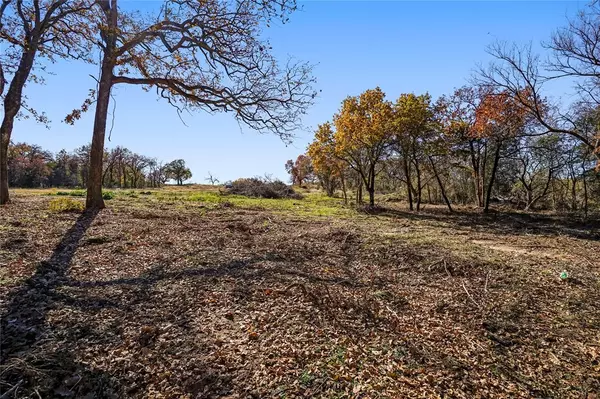 Burleson, TX 76028,1665 Private