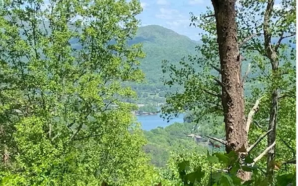 LOT 8 Hidden Summit Road, Hiawassee, GA 30546