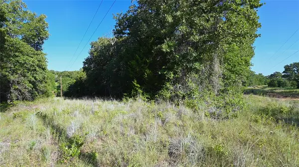 Saint Jo, TX 76265,TBD Cobb Hollow Road