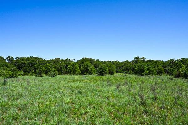 Perrin, TX 76486,TBD2 DPS Tower Rd