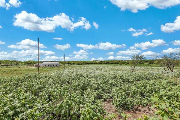 Grandview, TX 76050,Private Road 451