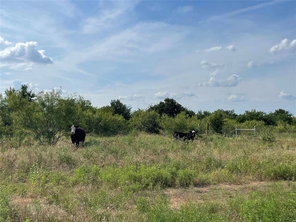 Bridgeport, TX 76426,TBD Fm-1658