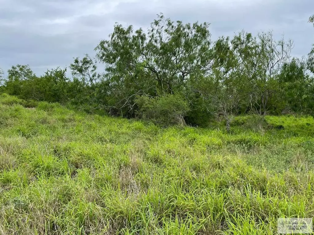 Los Fresnos, TX 78566,15 Lots HWY 100