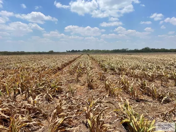 San Benito, TX 78586,28.3 Acres VASQUEZ RD.