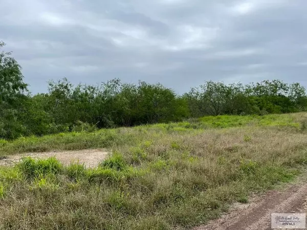 Los Fresnos, TX 78566,15 Lots HWY 100