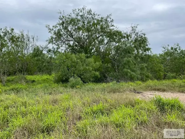 Los Fresnos, TX 78566,15 Lots HWY 100