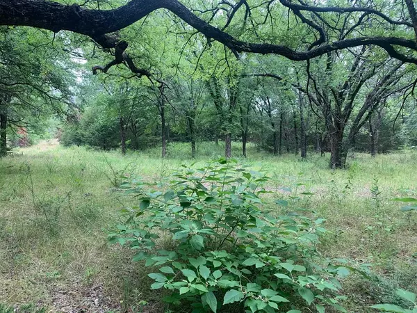 Cross Roads, TX 76227,TBD S Potters Shop Road