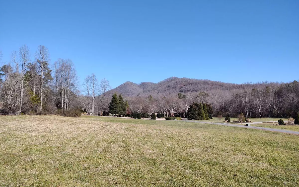 Hayesville, NC 28904,#51A Licklog Ridge