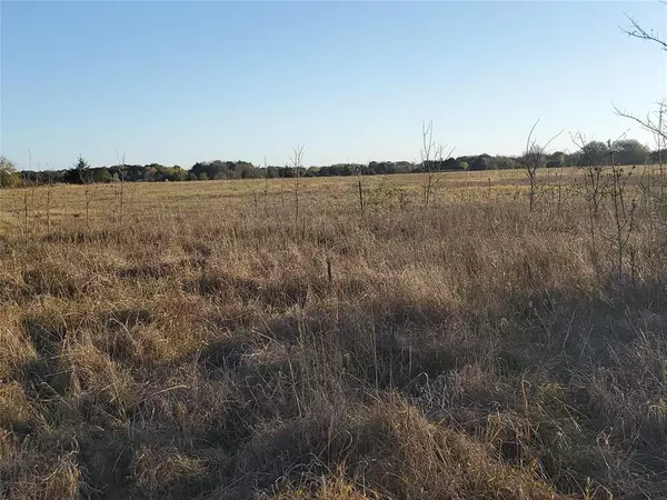 Ivanhoe, TX 75447,1212 CR 2265