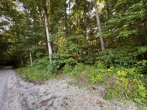 Jamestown, TN 38556,16.53ac Riverton Rd