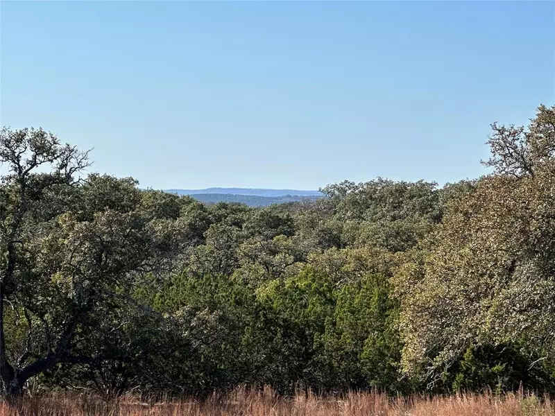 Lot 186 Blackbuck Ridge Drive, Lampasas, TX 76550