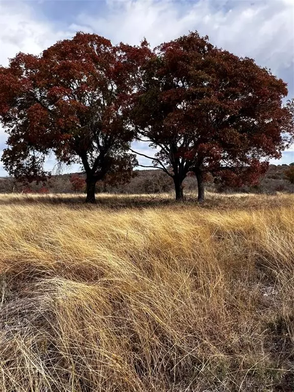 Indian Gap, TX 76531,TBD Tract 28 Indian Springs