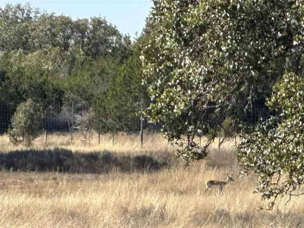 Lampasas, TX 76550,Lot 186 Blackbuck Ridge Drive