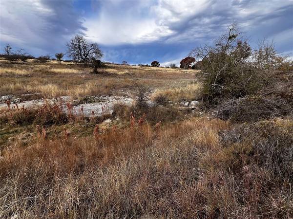 Indian Gap, TX 76531,TBD Tract 29 Indian Springs