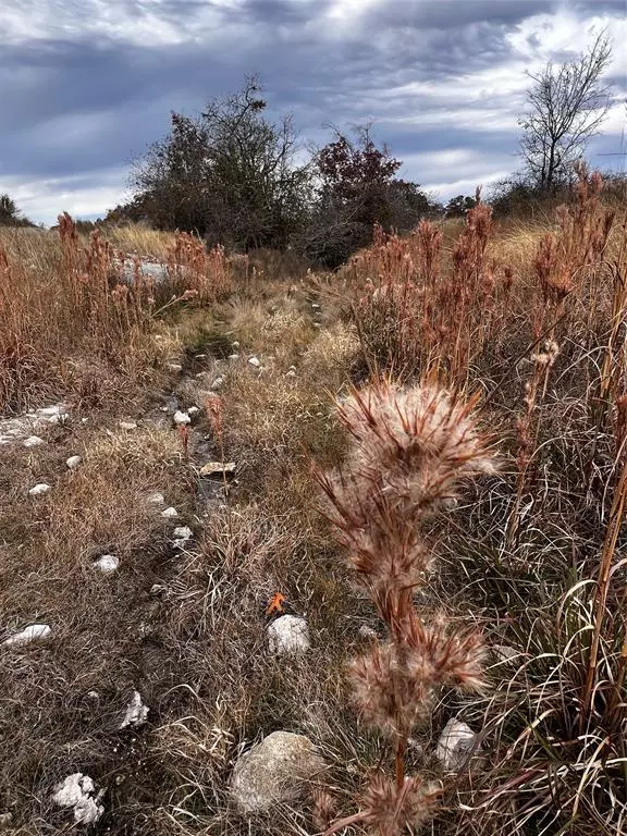 Indian Gap, TX 76531,TBD Tract 29 Indian Springs