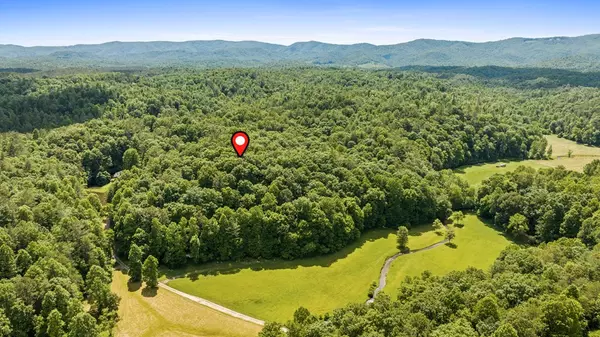 Ellijay, GA 30540,9.3AC Canaan Road