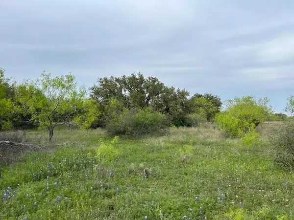 TBD County Road 225, Brookesmith, TX 76801