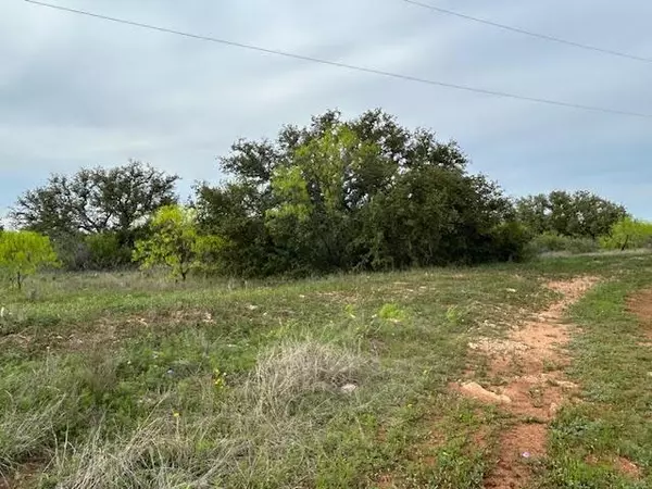 Brookesmith, TX 76801,TBD County Road 225