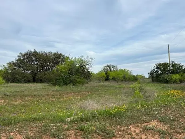 Brookesmith, TX 76801,TBD County Road 225