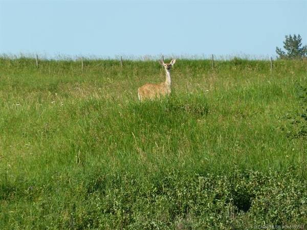 Rural Ponoka County, AB T4J 1R3,420069 Range Road 284 #9