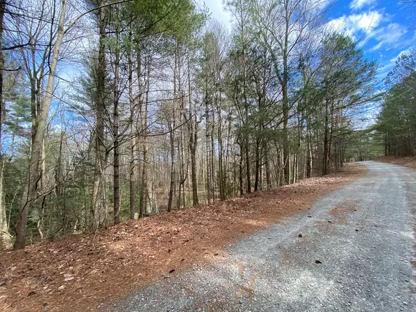 Ellijay, GA 30540,Lot 4 Mossy Hill Ct