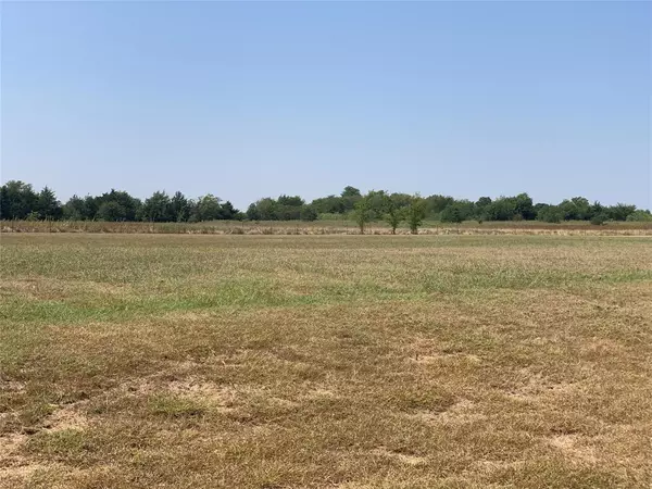 Union Valley, TX 75189,TBD Red Oak Drive