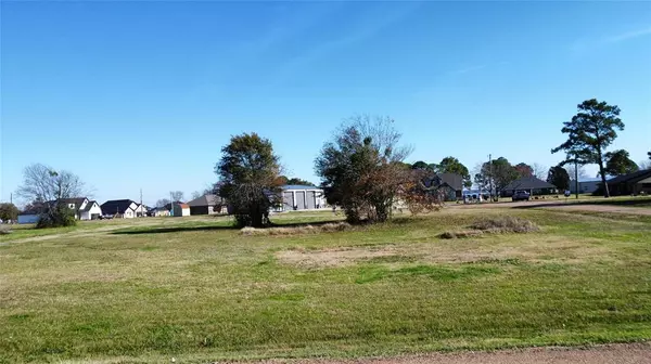 Lots 396 397 Snyder Ranch Road, Trinidad, TX 75163