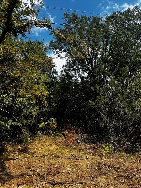 5511 Cold Water Trail, Granbury, TX 76048