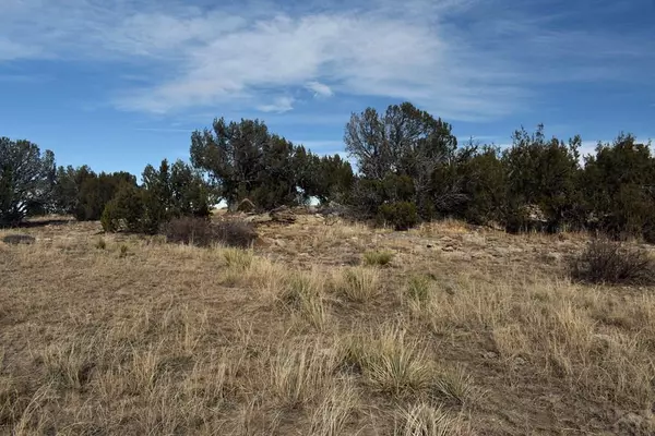 Rye, CO 81069,Lot 100 Narrow Gauge Way