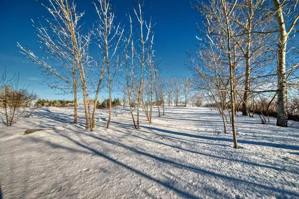 Rural Wheatland County, AB T1P 1K5,250037 Range Road 250