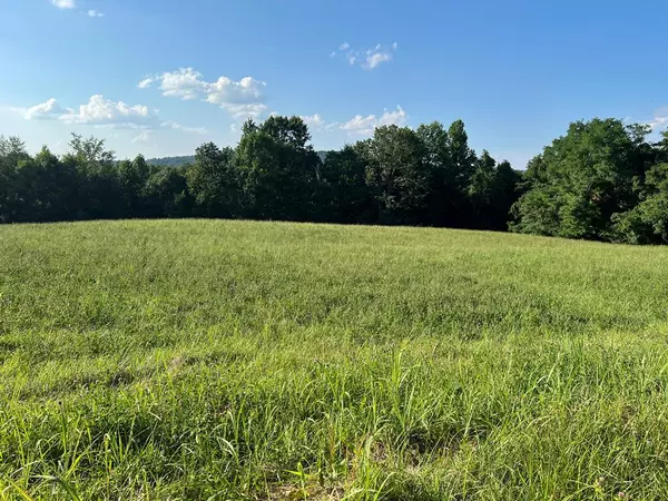 Byrdstown, TN 38549,Lot 17 Amonett Circle