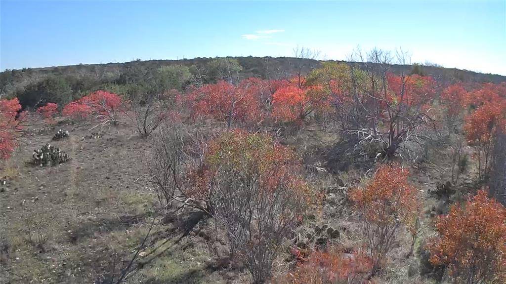 325 Big Country Trail, Strawn, TX 76475