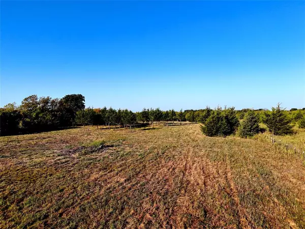 Honey Grove, TX 75446,4433 CR 3425