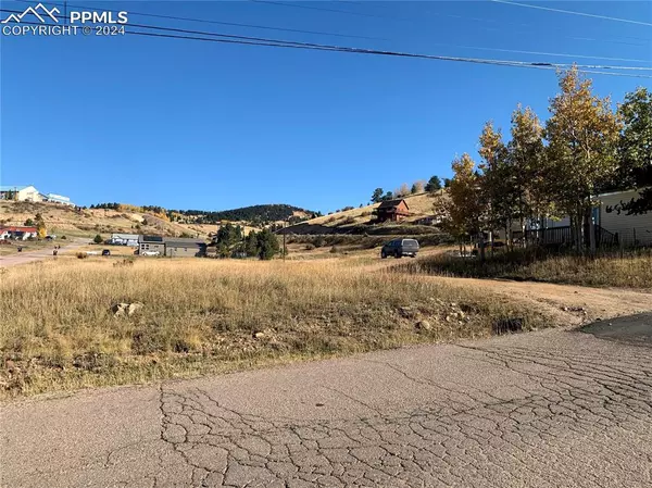 Cripple Creek, CO 80813,703 Lode ST